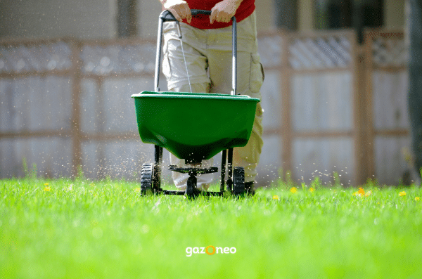 Jardinier fertilisant une pelouse avec un engrais printanier riche en azote pour renforcer la structure racinaire et obtenir un gazon verdoyant.