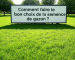 Pelouse verte et bien entretenue, illustrant l'importance de choisir la bonne semence de gazon en fonction du type de sol, des conditions climatiques et de l'utilisation.