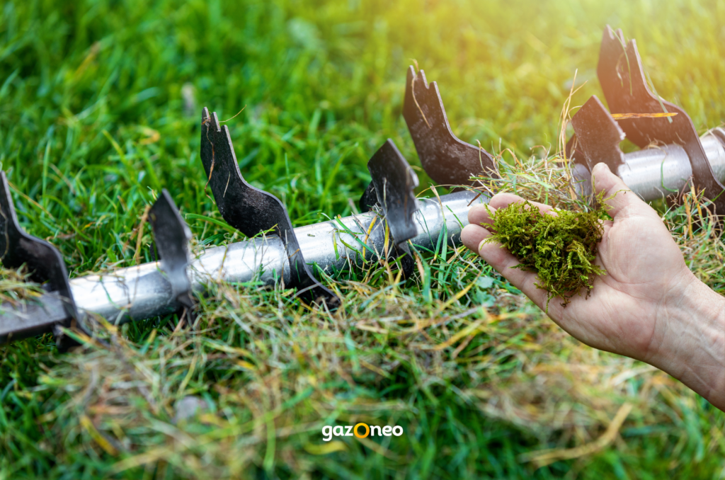 Pelouse envahie par de la mousse avec des outils de jardinage pour illustrer comment éliminer la mousse et maintenir un gazon en bonne santé.