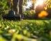 Paillage de l’herbe pour un jardin durable